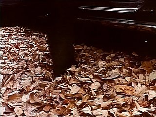 Aroma Scant (1985, AS, filem 35mm, Taija Rae, DVD RIP)
