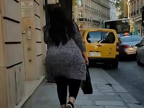 Puszyste Footslogger na ulicy (Francja)